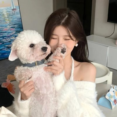 探长与海-意外事故