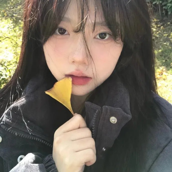 BG：贴身保镖第二季